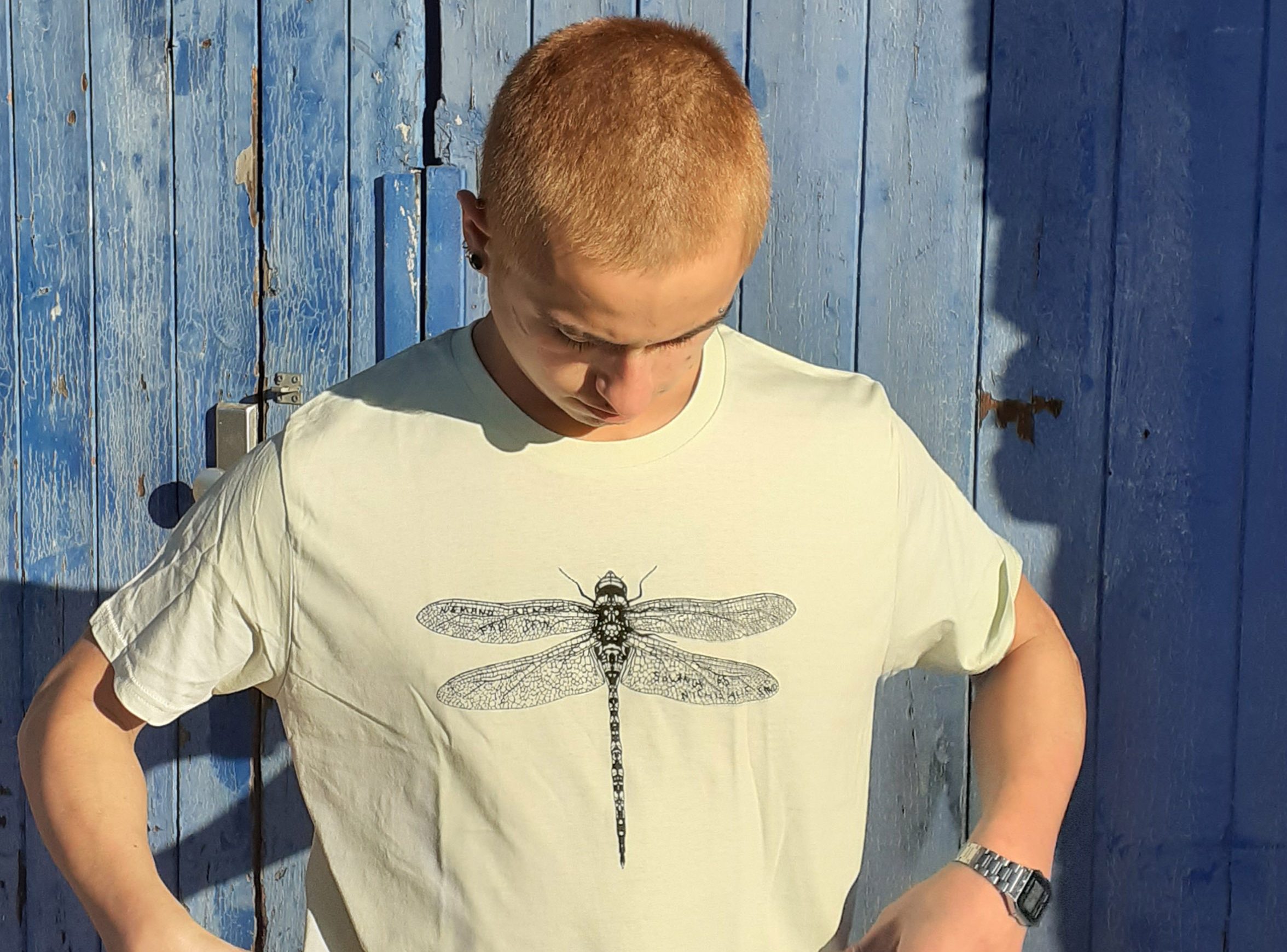 Libelle – Es ist Mühsam!