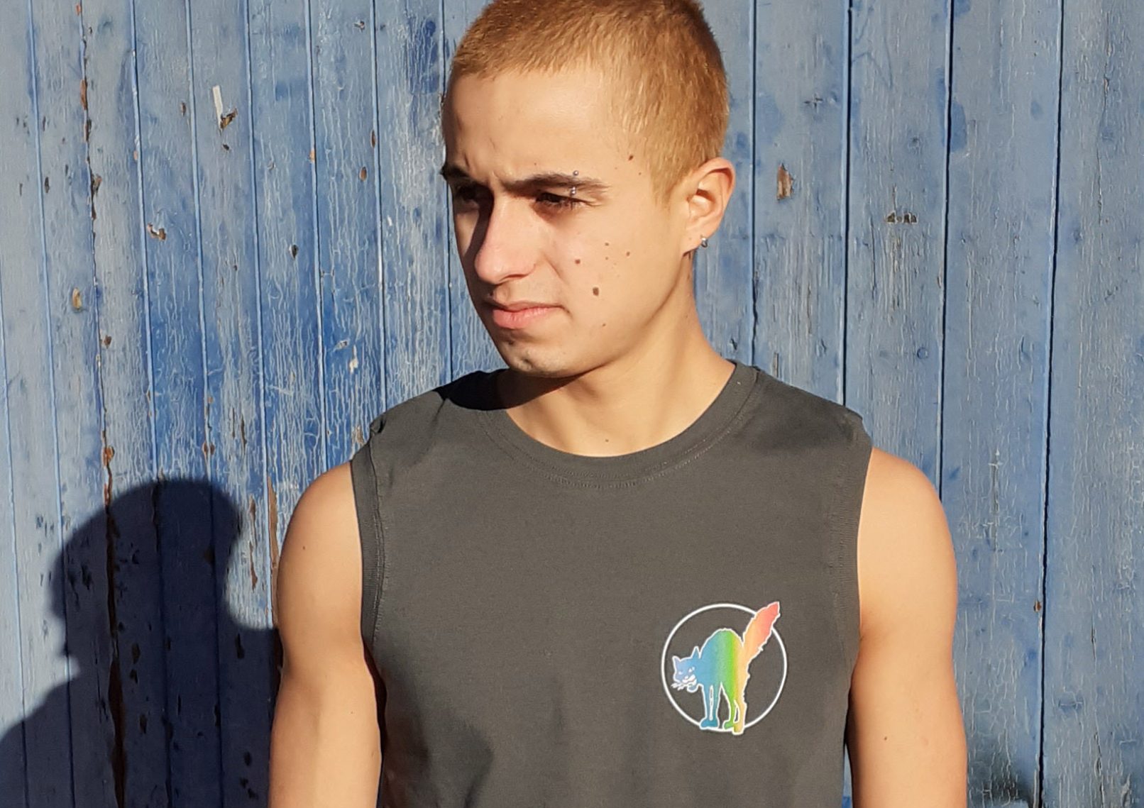 Sabocat 2.0 – bunt und mit merkwürdigen Nichtärmeln